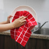 Terry 8pack Dishcloth Red